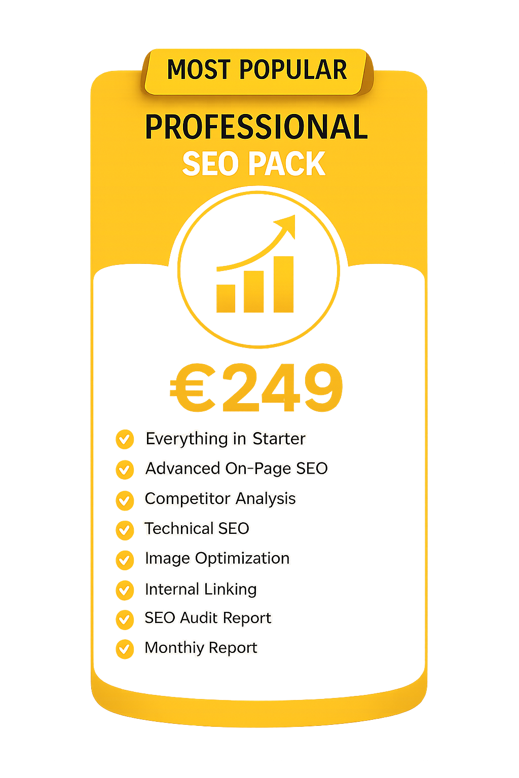 PROFESSIONAL SEO PACK